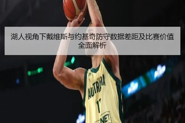 湖人视角下戴维斯与约基奇防守数据差距及比赛价值全面解析